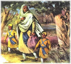 Mata Gujri Ji and Sahibzadas